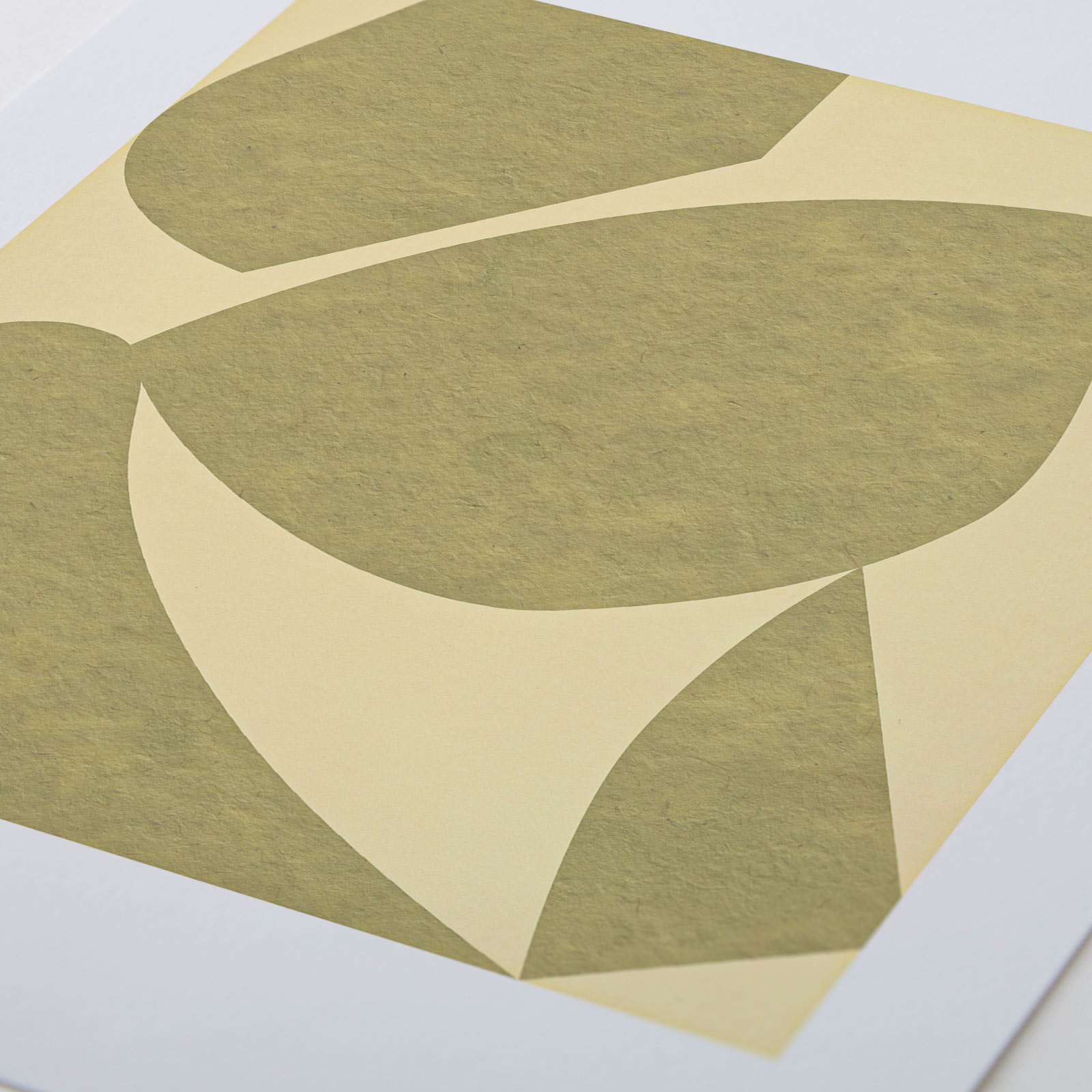 Settle Olive/Yellow